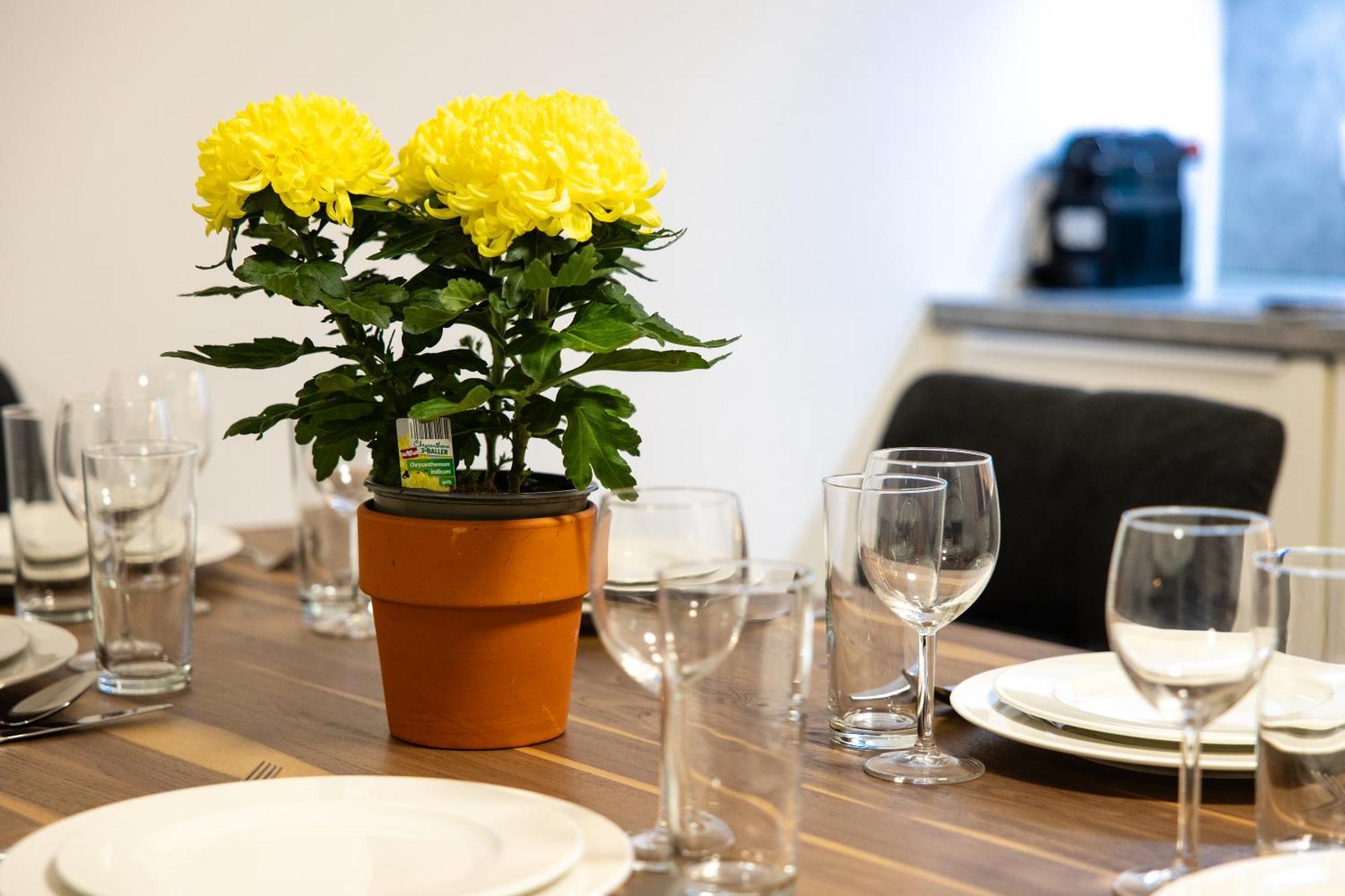 Myapartments Vienna Rooftop 외부 사진
